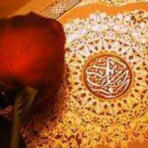 صورة الملف الشخصي لـ Basma_Zakaria