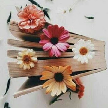 صورة الملف الشخصي لـ Mariam Mohamed