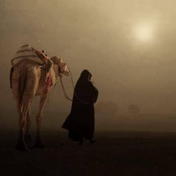 صورة الملف الشخصي لـ mosustafamohammed
