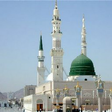 صورة الملف الشخصي لـ Ahmad Alzain