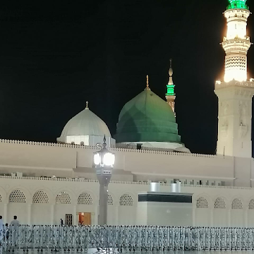 صورة الملف الشخصي لـ Ammar Fekih