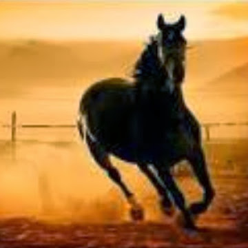 صورة الملف الشخصي لـ إبتسام عبدالله